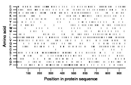 amino acid map