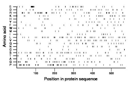 amino acid map