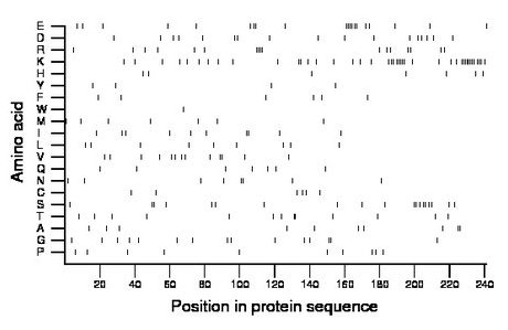 amino acid map