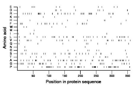 amino acid map