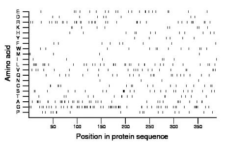 amino acid map