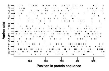 amino acid map