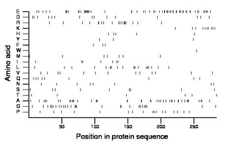 amino acid map