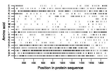 amino acid map