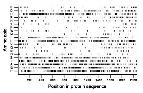 amino acid map