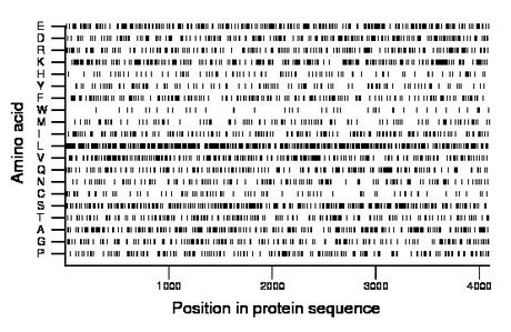 amino acid map