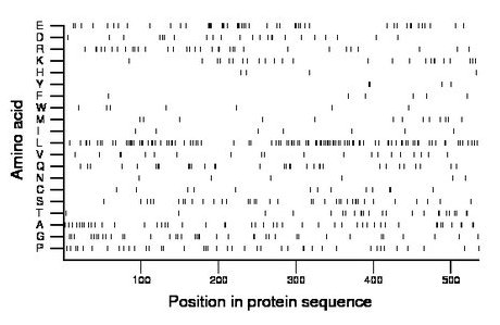 amino acid map