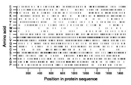 amino acid map