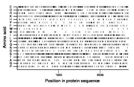 amino acid map