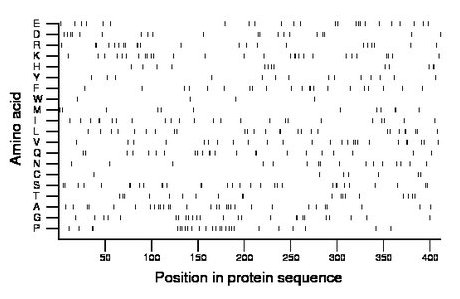 amino acid map