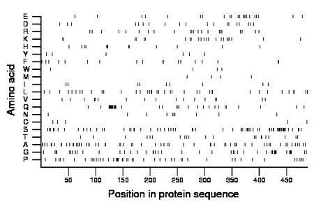 amino acid map