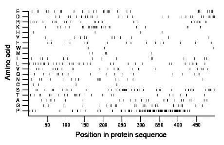 amino acid map