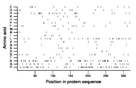 amino acid map