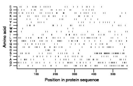 amino acid map