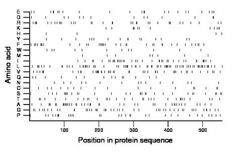 amino acid map