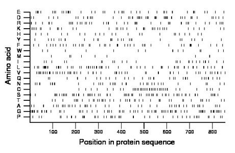 amino acid map