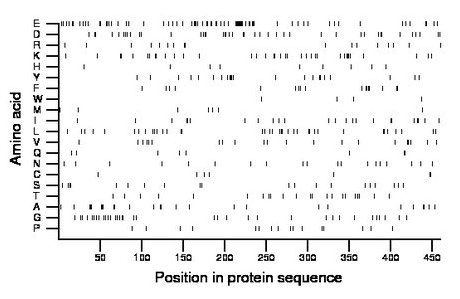 amino acid map