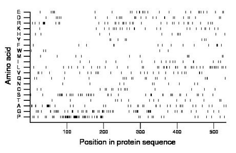 amino acid map