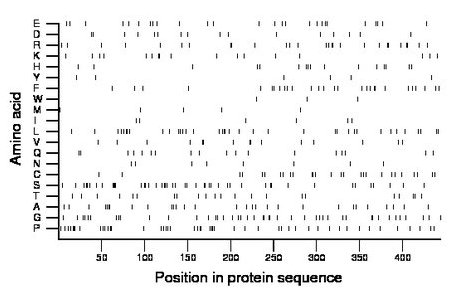 amino acid map