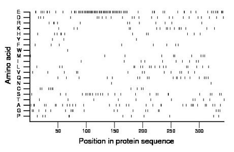 amino acid map