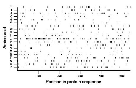 amino acid map