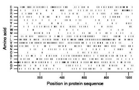 amino acid map