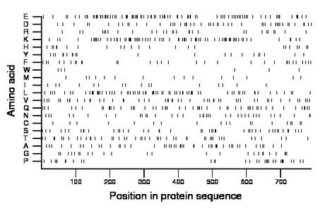 amino acid map