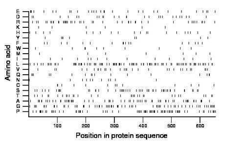 amino acid map