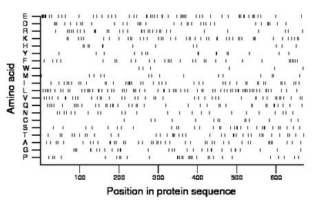 amino acid map