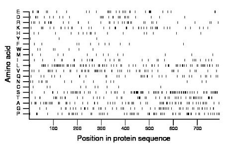 amino acid map