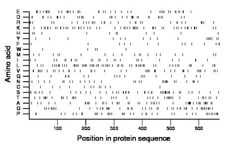 amino acid map