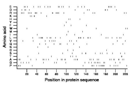 amino acid map