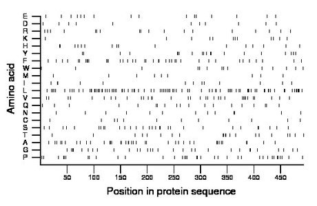 amino acid map