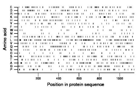 amino acid map