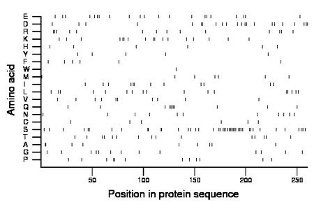 amino acid map