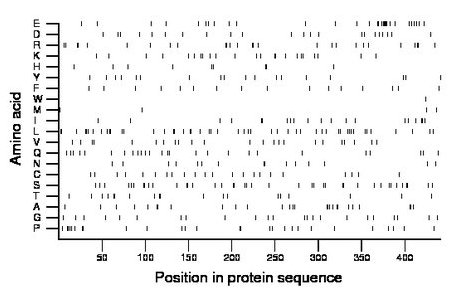 amino acid map