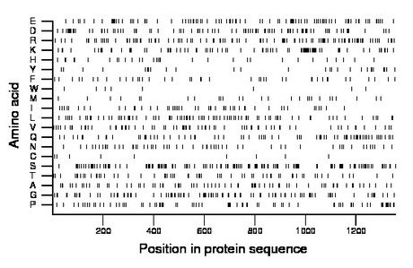 amino acid map