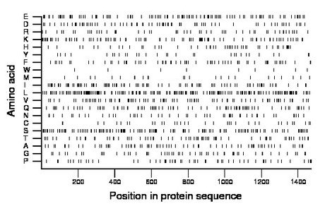 amino acid map