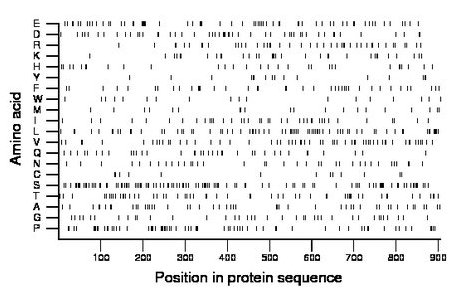 amino acid map