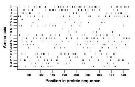 amino acid map