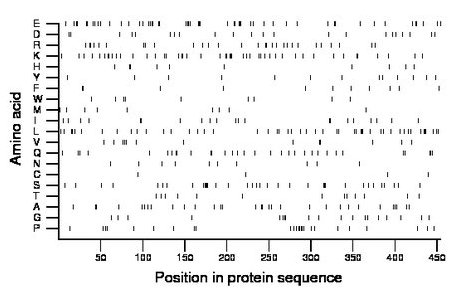 amino acid map