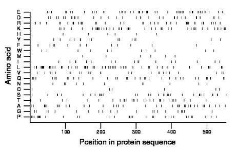 amino acid map