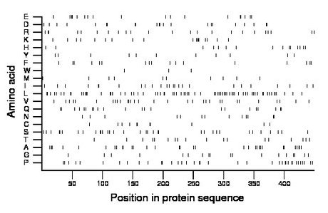 amino acid map