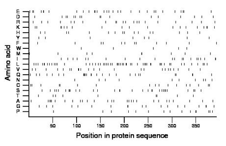 amino acid map