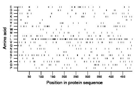 amino acid map