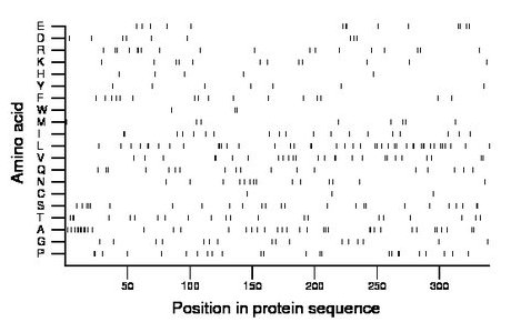 amino acid map