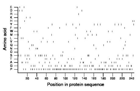 amino acid map