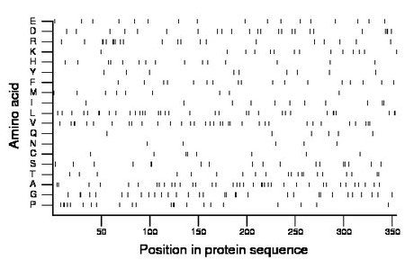 amino acid map