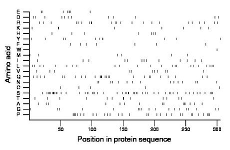 amino acid map