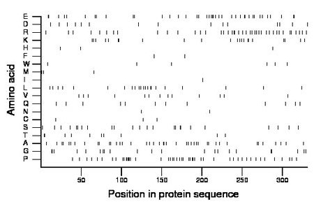 amino acid map